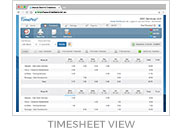 Timesheet View