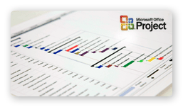 MS Project Integration